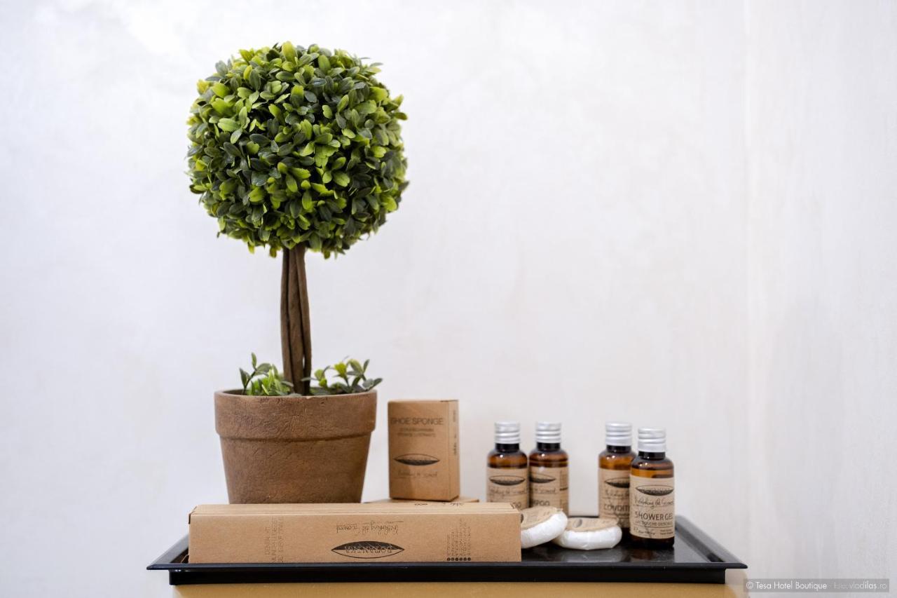 Tesa Boutique Hotel Targu Neamt ภายนอก รูปภาพ